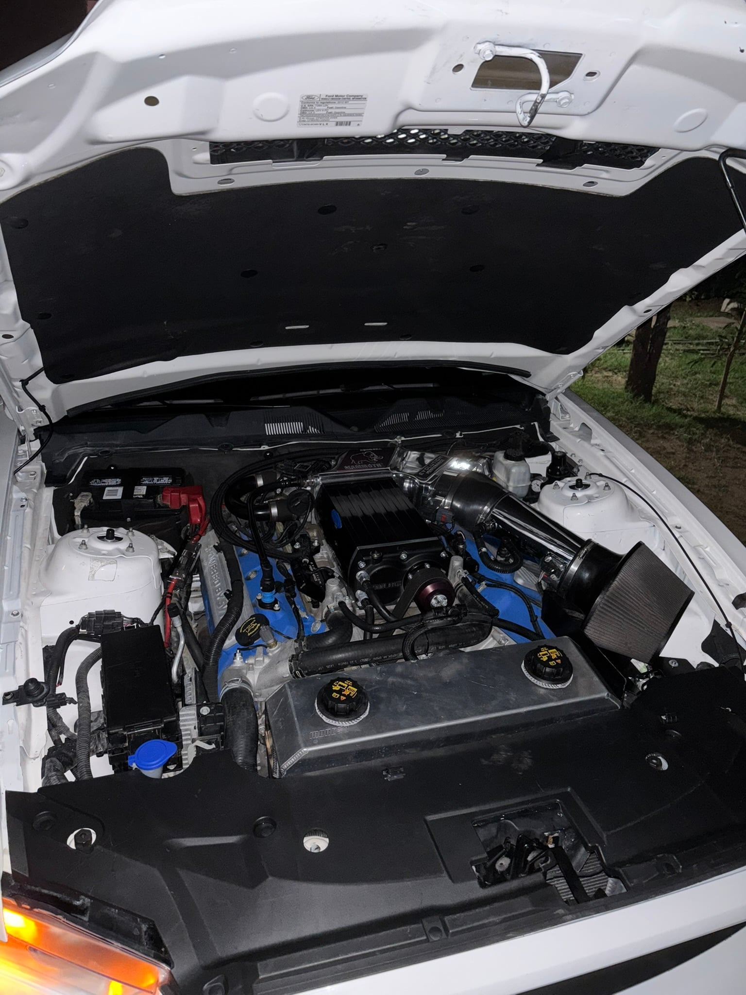 Professional engine bay detailing showing clean engine compartment